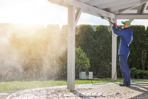 Best Dumpster Area Cleaning  in Marble Hill, MO