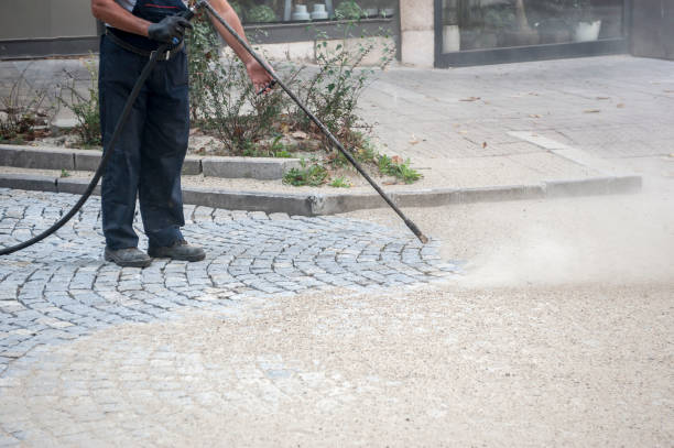 Best Fence Cleaning  in Marble Hill, MO